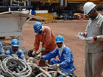 TPL provides services